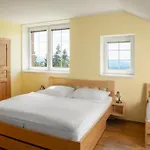 Horsky Paprsek