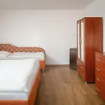 Horský Paprsek